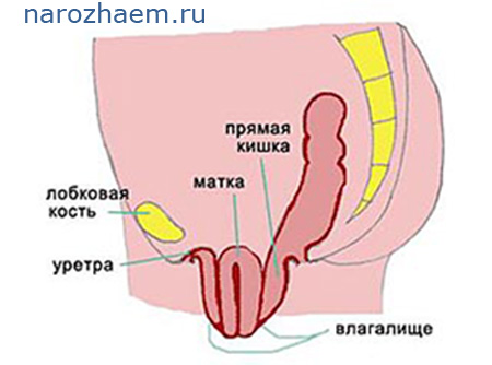 Схема